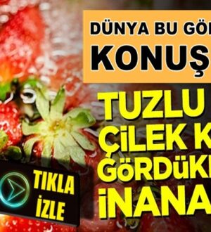 Tuzlu suya çilek koyma deneyi! İçinden böcek çıktı