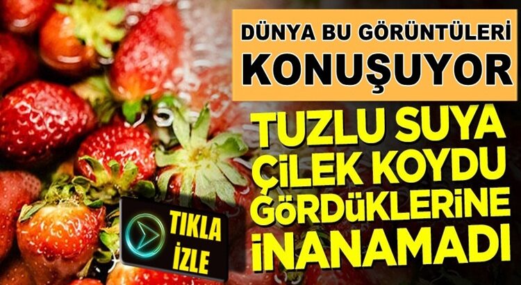  Tuzlu suya çilek koyma deneyi! İçinden böcek çıktı