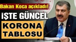 Türkiye Koronavirüs 11 Haziran verilerini Bakan Fahrettin Koca Açıkladı