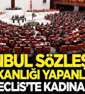 İstanbul Sözleşmesi çığırtkanları HDP ve CHP’den kadına şiddet