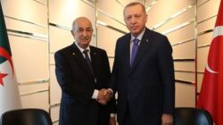 Cumhurbaşkanı Erdoğan Cezayir Cumhurbaşkanı Tebbun ile görüştü