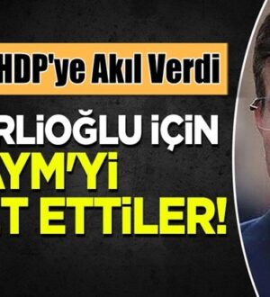 Ahmet Davutoğlu’nun Gelecek Partisi, HDP’ye yol gösterdi