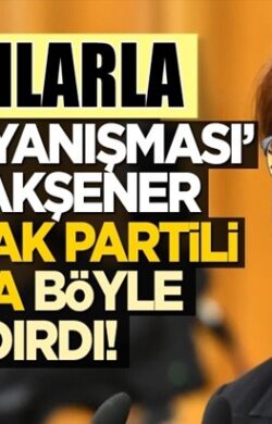 Meral Akşener, Ak Parti’li Özlem Zengin’e ağzına ne gelirse saydırdı