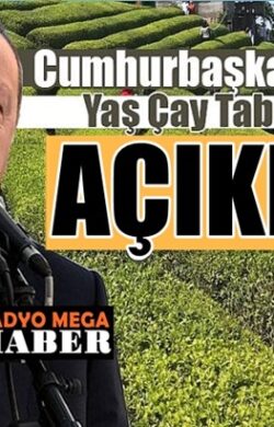 Başkan Recep Tayyip Erdoğan yaş çay alım fiyatını açıkladı