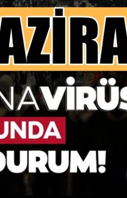 Koronavirüs 14 Haziran 2021 tablosu Sağlık Bakanlığınca açıklandı