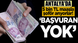 Antalya’da 5 bin TL maaşla şoför arıyorlar! ‘Başvuran yok’